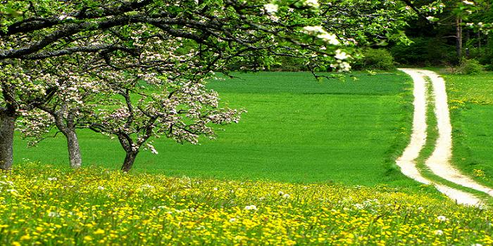 Frühlingslandschaft in Bayern