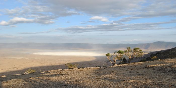 Bild vom Ngorongoro-Krater