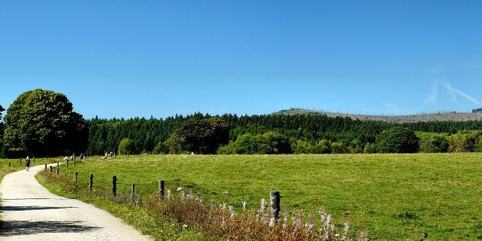 Ein kleiner Weg quer durch die Natur des Böhmerwald