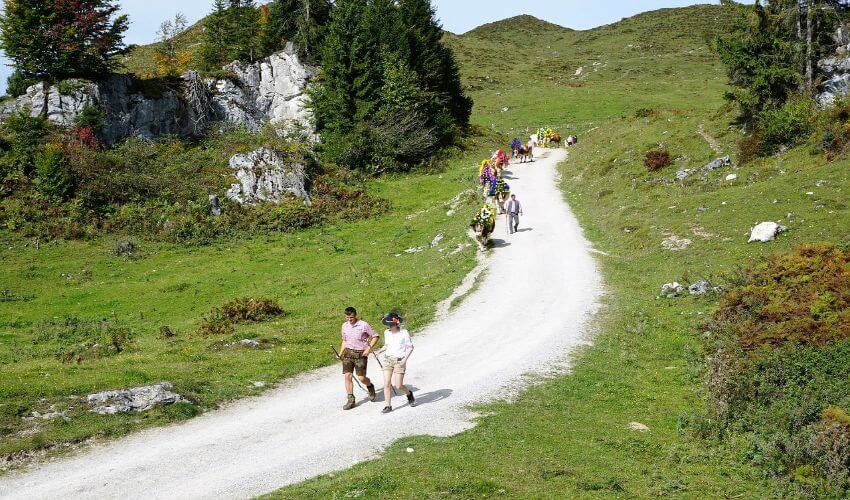 Ein paar Menschen spazieren auf einem Wanderweg auf einer Alm in Salzburg.