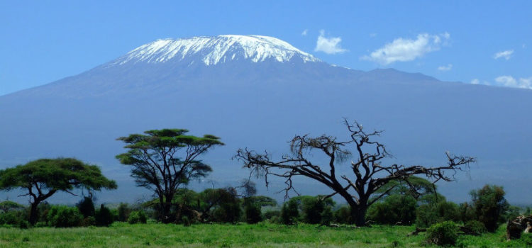 Wissenswertes über den Kilimandscharo in Afrika